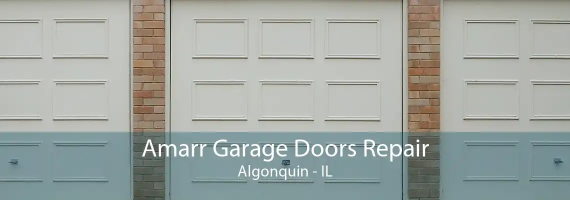 Amarr Garage Doors Repair Algonquin - IL