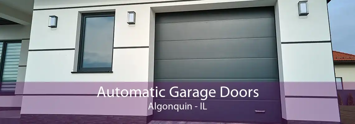 Automatic Garage Doors Algonquin - IL