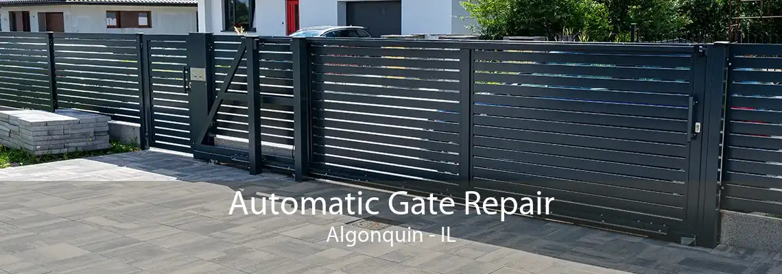 Automatic Gate Repair Algonquin - IL