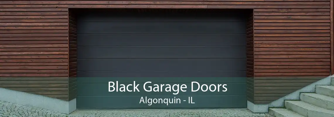 Black Garage Doors Algonquin - IL