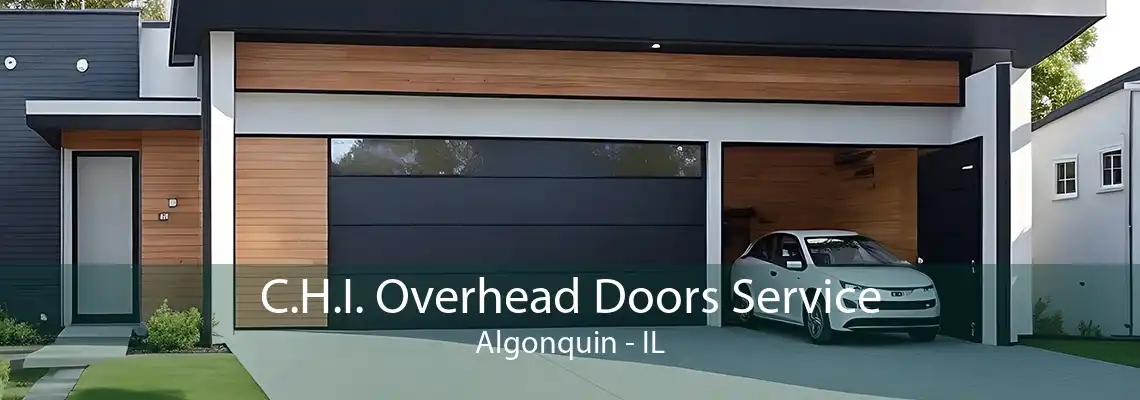 C.H.I. Overhead Doors Service Algonquin - IL