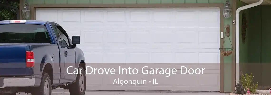 Car Drove Into Garage Door Algonquin - IL