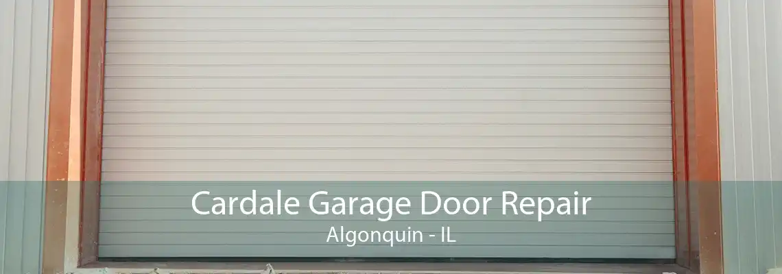 Cardale Garage Door Repair Algonquin - IL