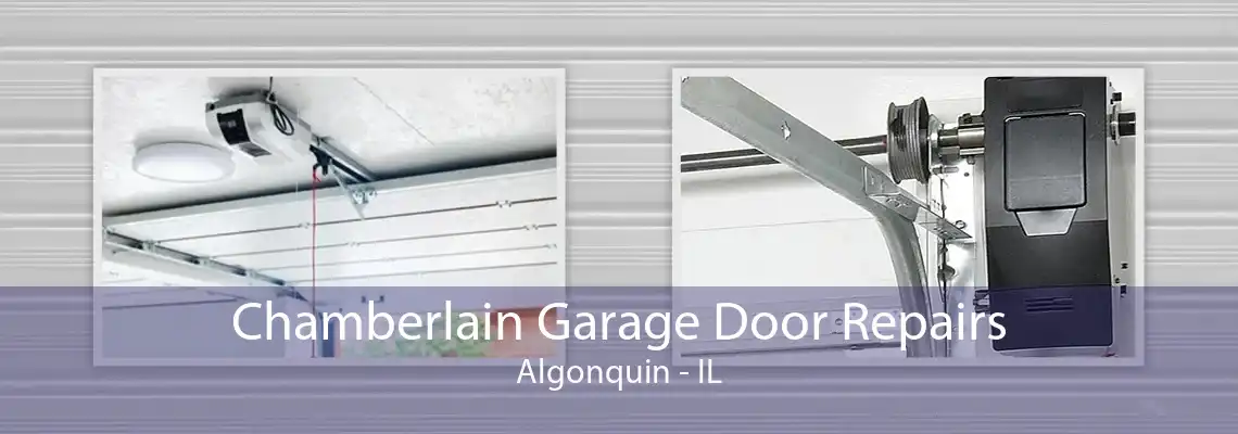 Chamberlain Garage Door Repairs Algonquin - IL