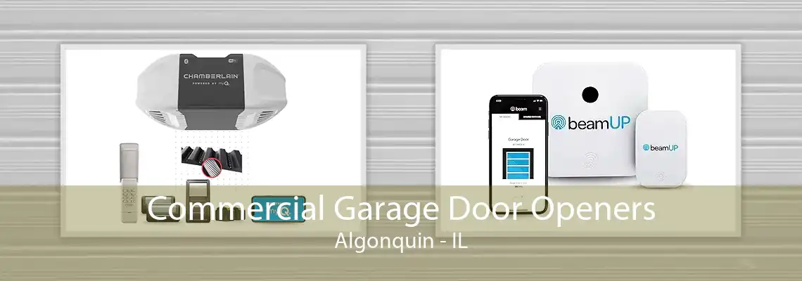 Commercial Garage Door Openers Algonquin - IL