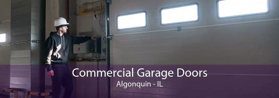 Commercial Garage Doors Algonquin - IL