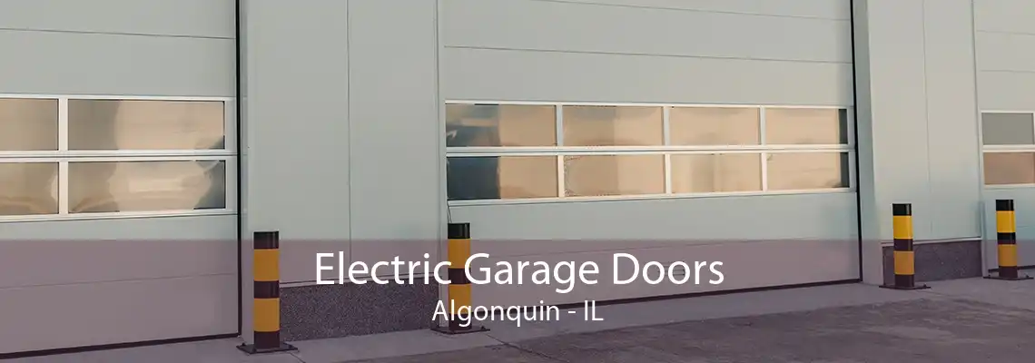 Electric Garage Doors Algonquin - IL