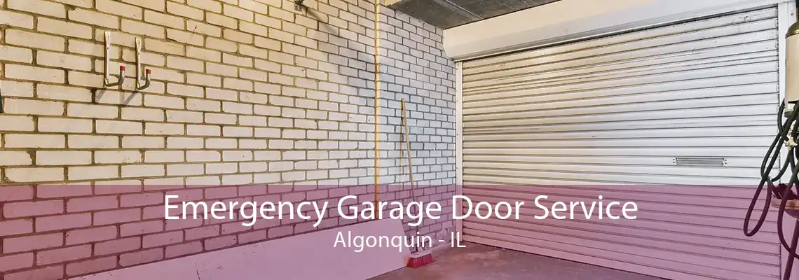 Emergency Garage Door Service Algonquin - IL