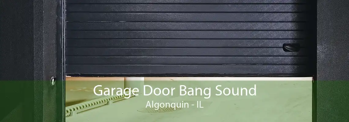 Garage Door Bang Sound Algonquin - IL