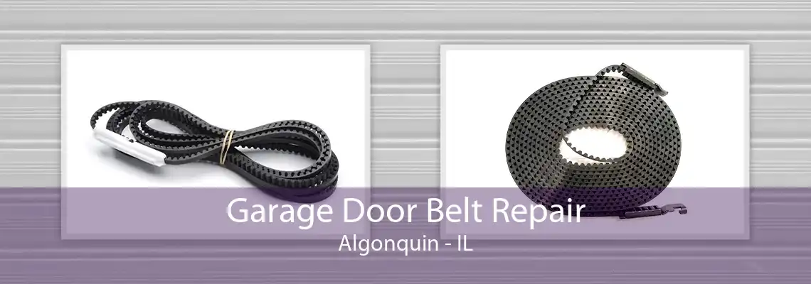 Garage Door Belt Repair Algonquin - IL