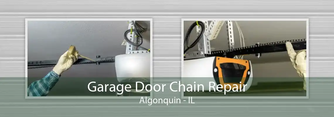 Garage Door Chain Repair Algonquin - IL