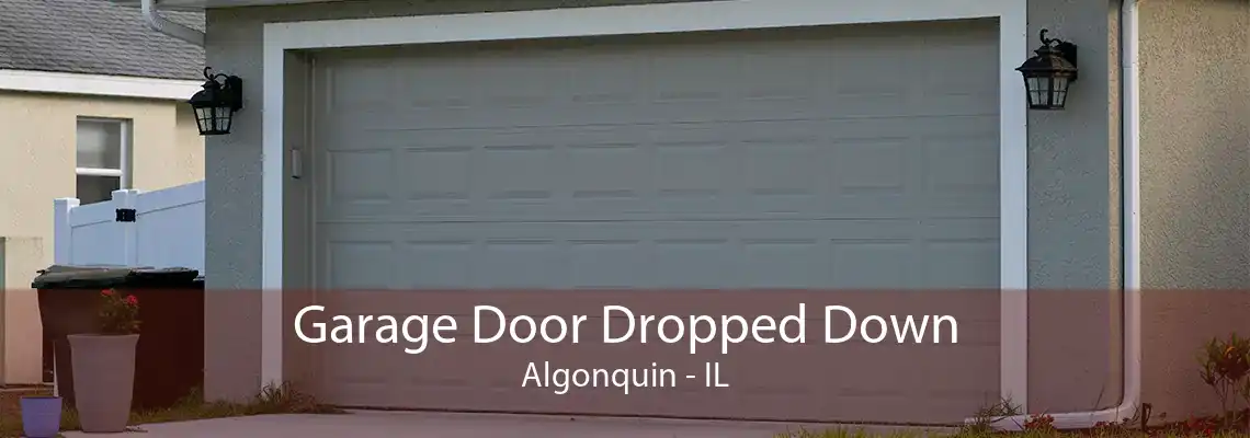 Garage Door Dropped Down Algonquin - IL