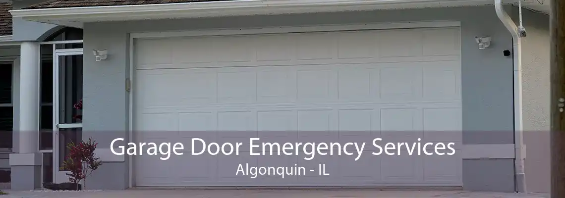 Garage Door Emergency Services Algonquin - IL