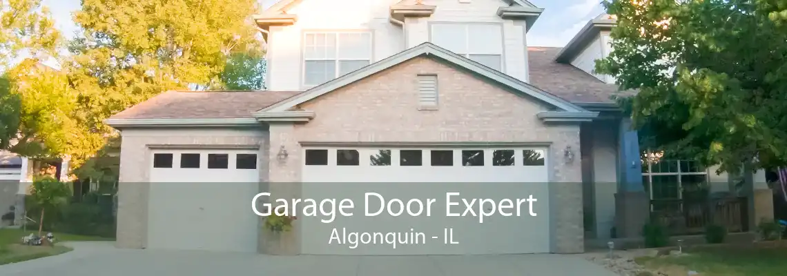 Garage Door Expert Algonquin - IL