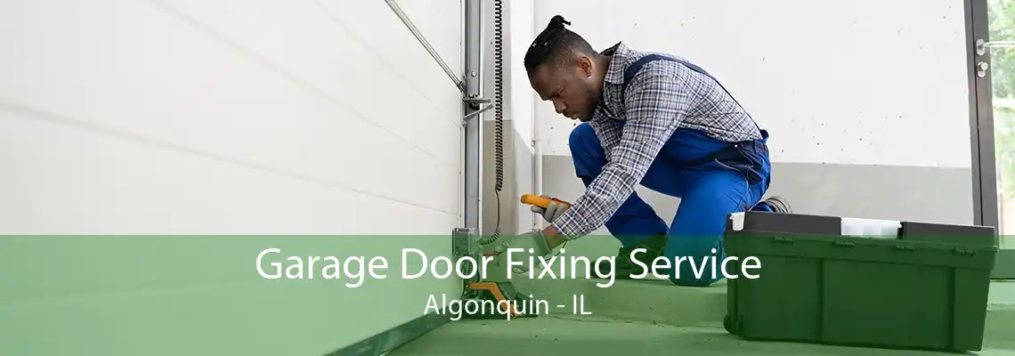 Garage Door Fixing Service Algonquin - IL