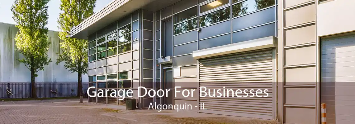 Garage Door For Businesses Algonquin - IL