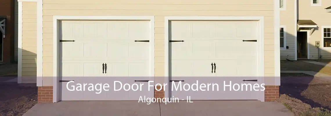 Garage Door For Modern Homes Algonquin - IL