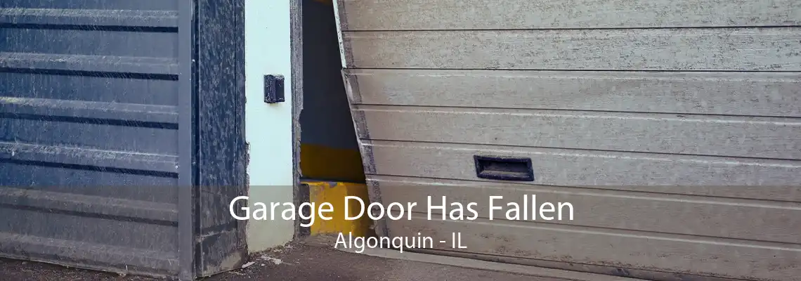 Garage Door Has Fallen Algonquin - IL