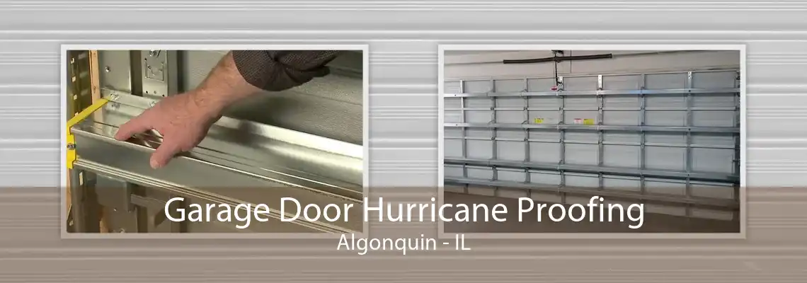 Garage Door Hurricane Proofing Algonquin - IL