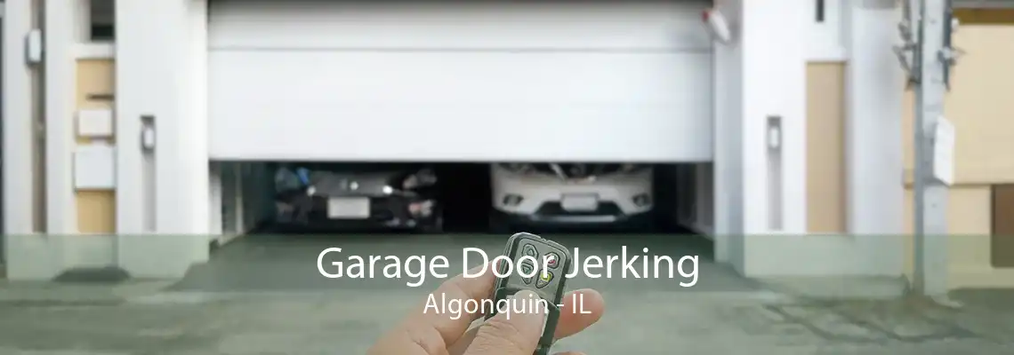 Garage Door Jerking Algonquin - IL