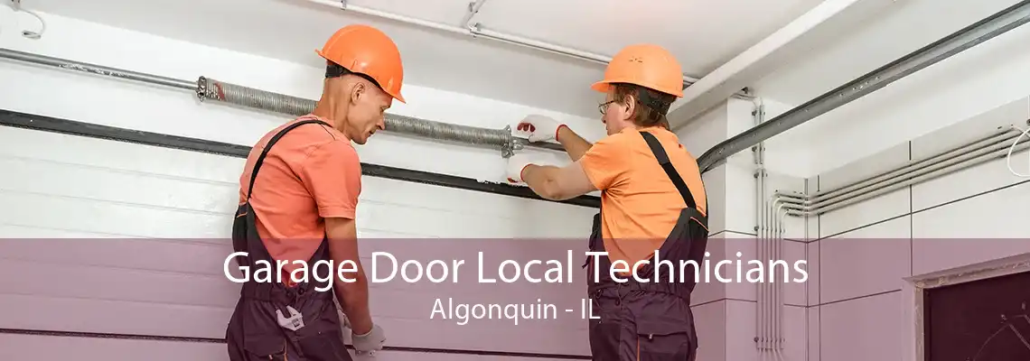 Garage Door Local Technicians Algonquin - IL