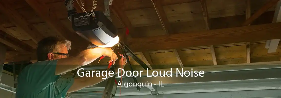 Garage Door Loud Noise Algonquin - IL