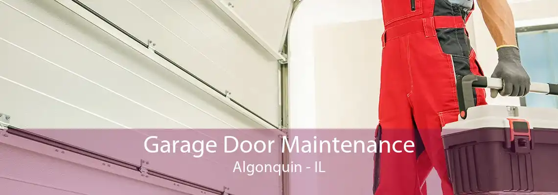 Garage Door Maintenance Algonquin - IL