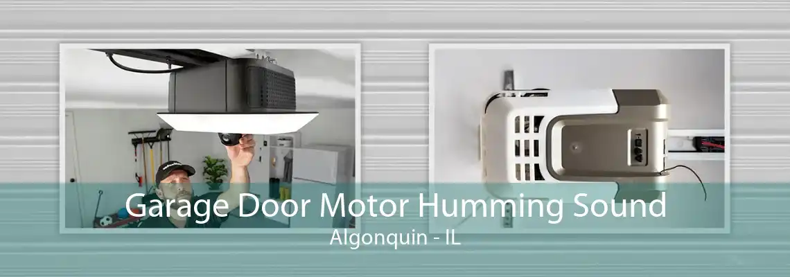 Garage Door Motor Humming Sound Algonquin - IL