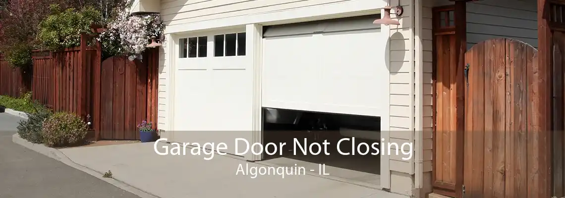 Garage Door Not Closing Algonquin - IL