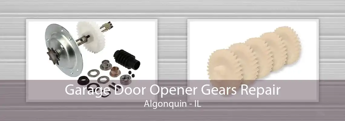 Garage Door Opener Gears Repair Algonquin - IL