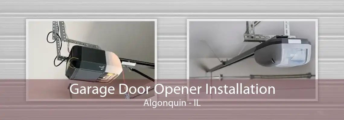 Garage Door Opener Installation Algonquin - IL