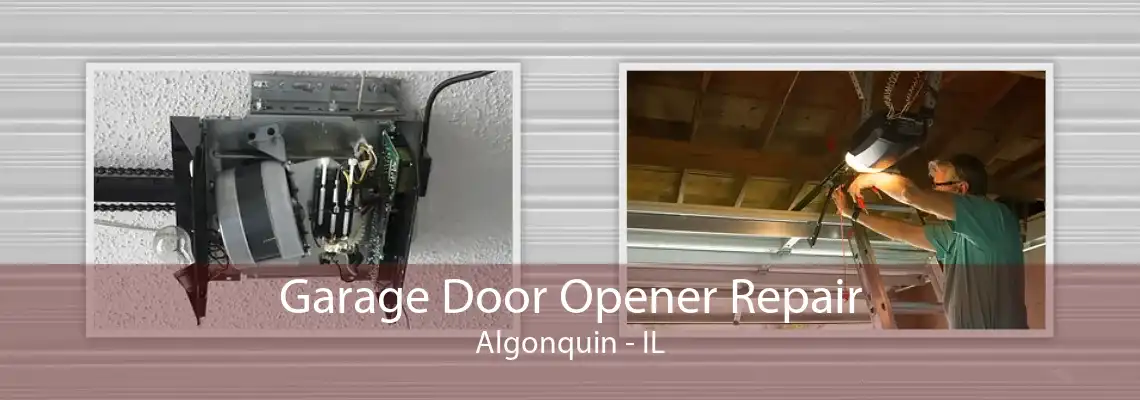 Garage Door Opener Repair Algonquin - IL