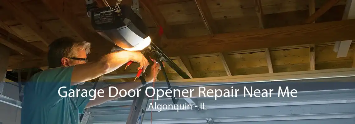 Garage Door Opener Repair Near Me Algonquin - IL