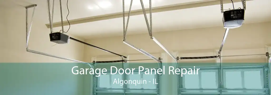 Garage Door Panel Repair Algonquin - IL