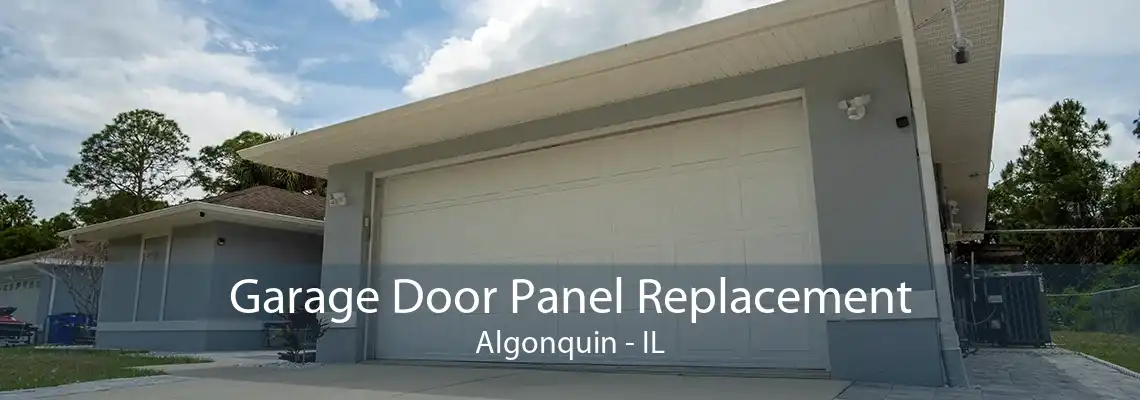 Garage Door Panel Replacement Algonquin - IL