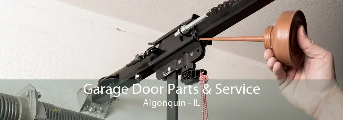 Garage Door Parts & Service Algonquin - IL