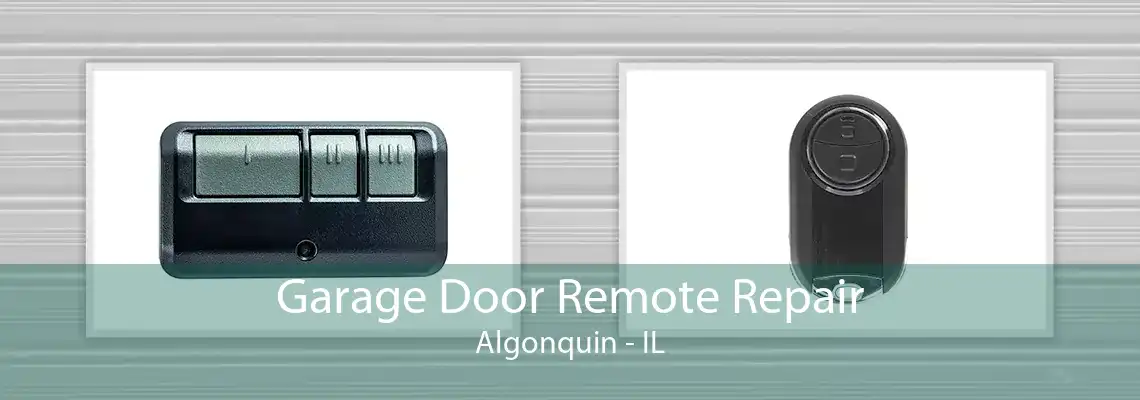 Garage Door Remote Repair Algonquin - IL