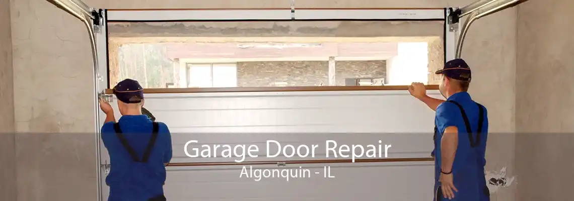 Garage Door Repair Algonquin - IL