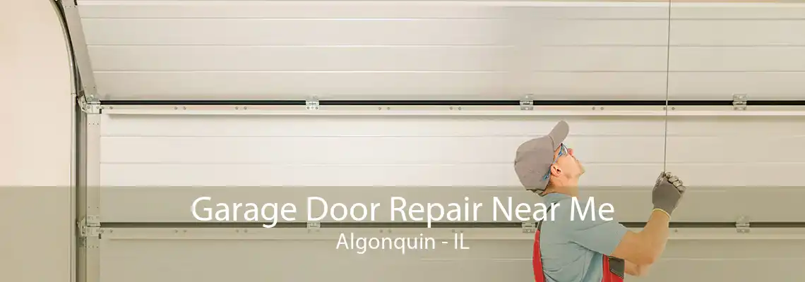 Garage Door Repair Near Me Algonquin - IL