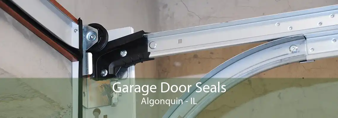 Garage Door Seals Algonquin - IL