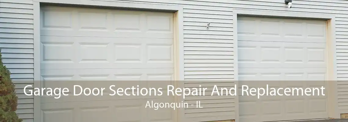 Garage Door Sections Repair And Replacement Algonquin - IL