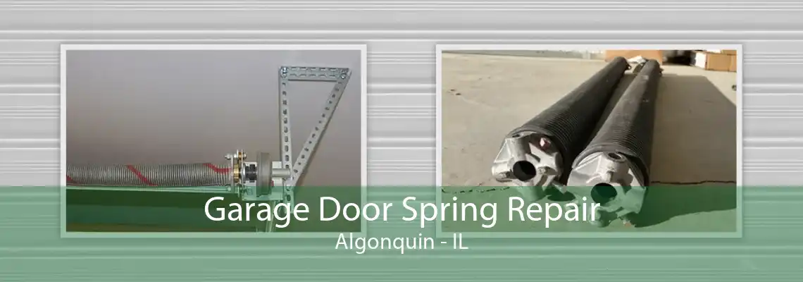 Garage Door Spring Repair Algonquin - IL