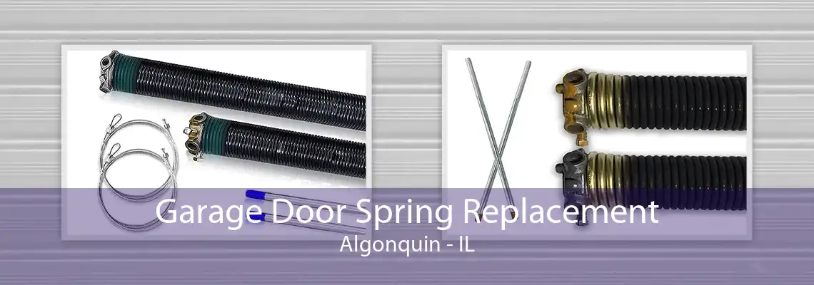 Garage Door Spring Replacement Algonquin - IL