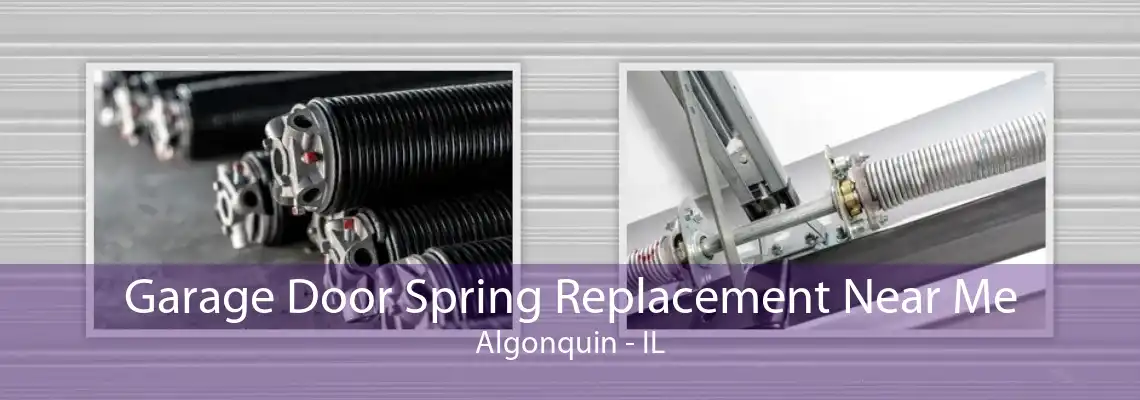 Garage Door Spring Replacement Near Me Algonquin - IL