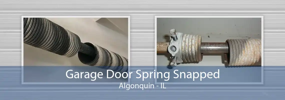 Garage Door Spring Snapped Algonquin - IL