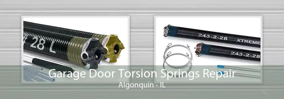 Garage Door Torsion Springs Repair Algonquin - IL