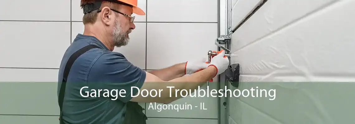 Garage Door Troubleshooting Algonquin - IL