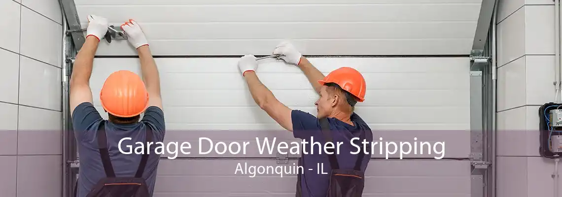 Garage Door Weather Stripping Algonquin - IL