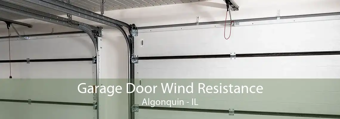 Garage Door Wind Resistance Algonquin - IL