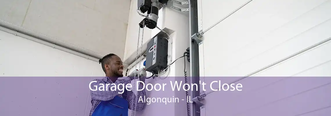 Garage Door Won't Close Algonquin - IL